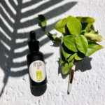 Picture of a black bottle with a sticker on it and tropical plant leaf shadow