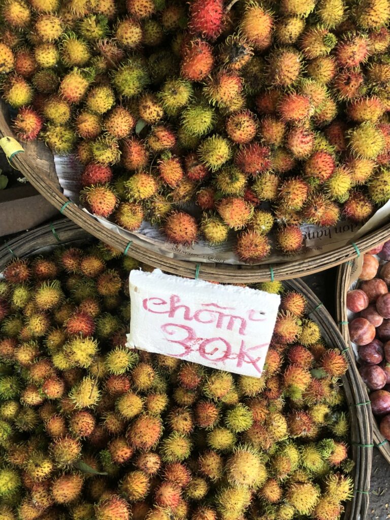 Picture of tropical fruits taken in a local market un Da Nang Vietnam 2023 by Linda Chea