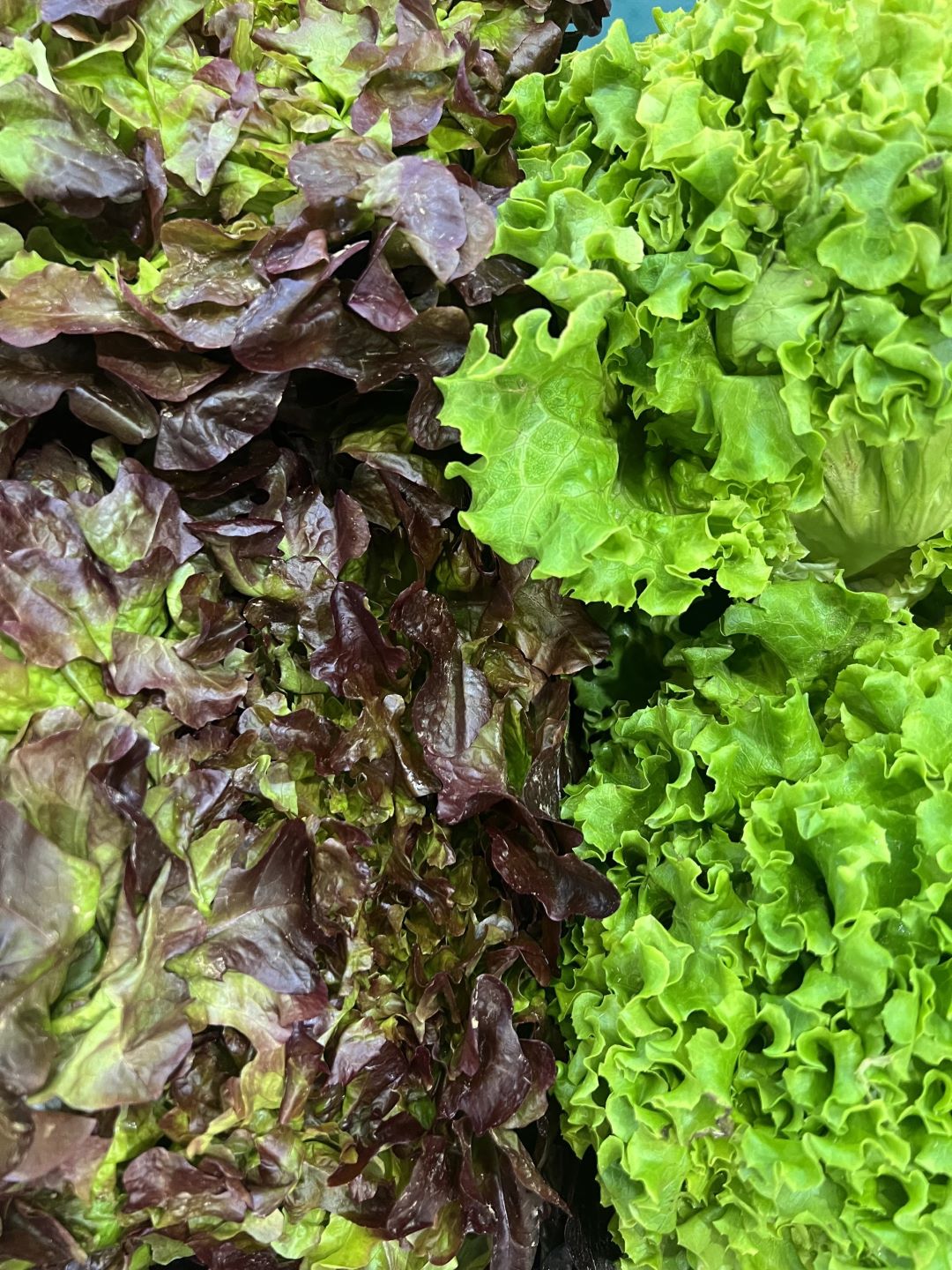 Picture of fresh salads from the market by Don't tell my sisters